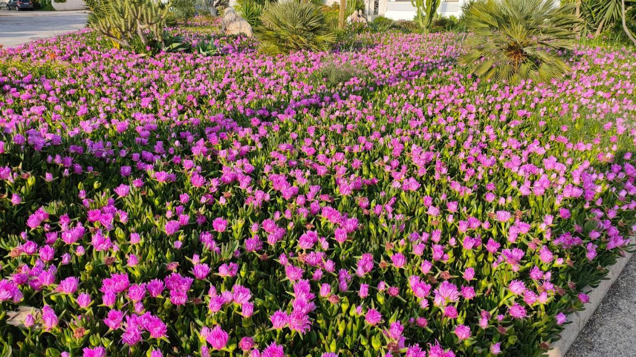 טורבייחה Casas Holiday - Playa Del Cura מראה חיצוני תמונה